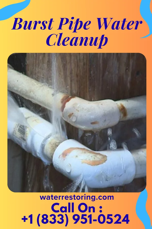 Burst Pipe Water Cleanup in Lafayette, TN