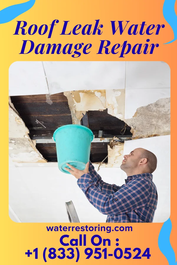 Roof Leak Water Damage Repair in Lafayette, TN