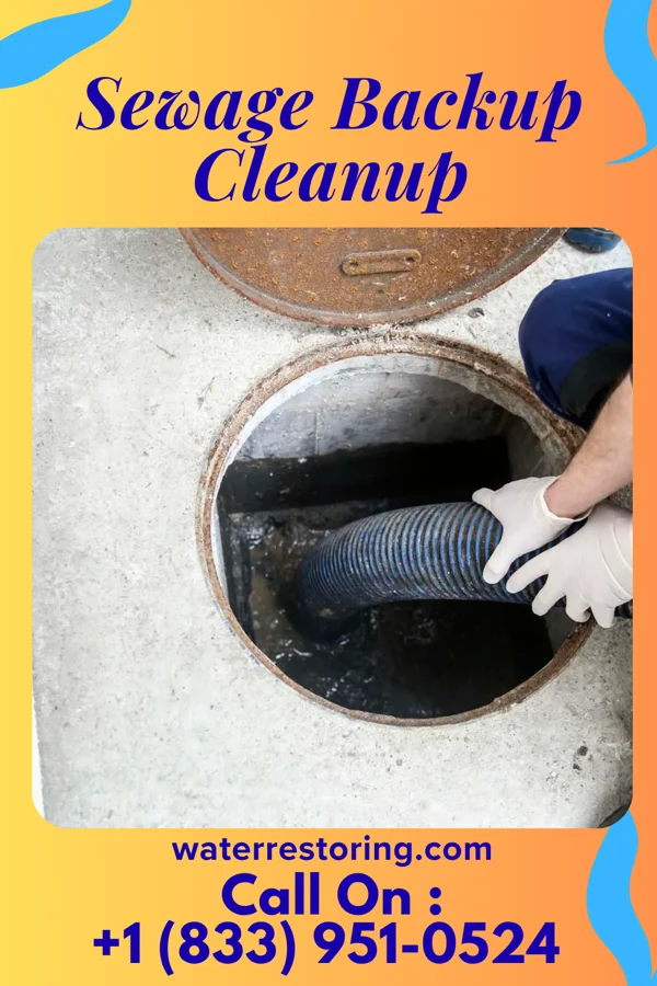 Sewage Backup Cleanup in Lafayette, TN