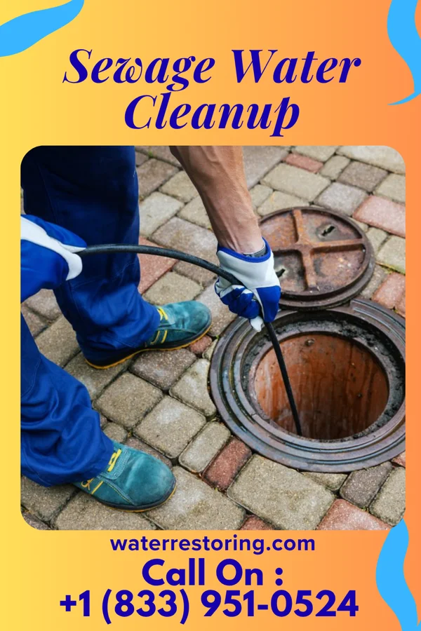 Sewage Water Cleanup in Lafayette, TN